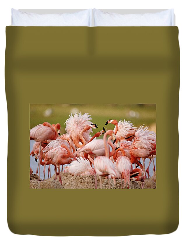 Animal Themes Duvet Cover featuring the photograph Greater Flamingoes Africa by John Giustina
