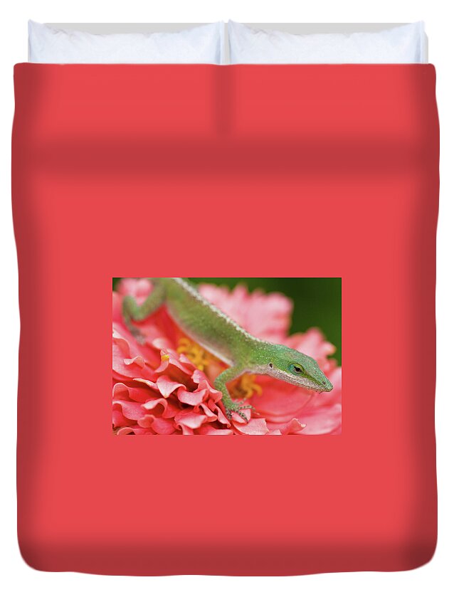 Animal Themes Duvet Cover featuring the photograph Green And Pink In Garden by Jeff R Clow