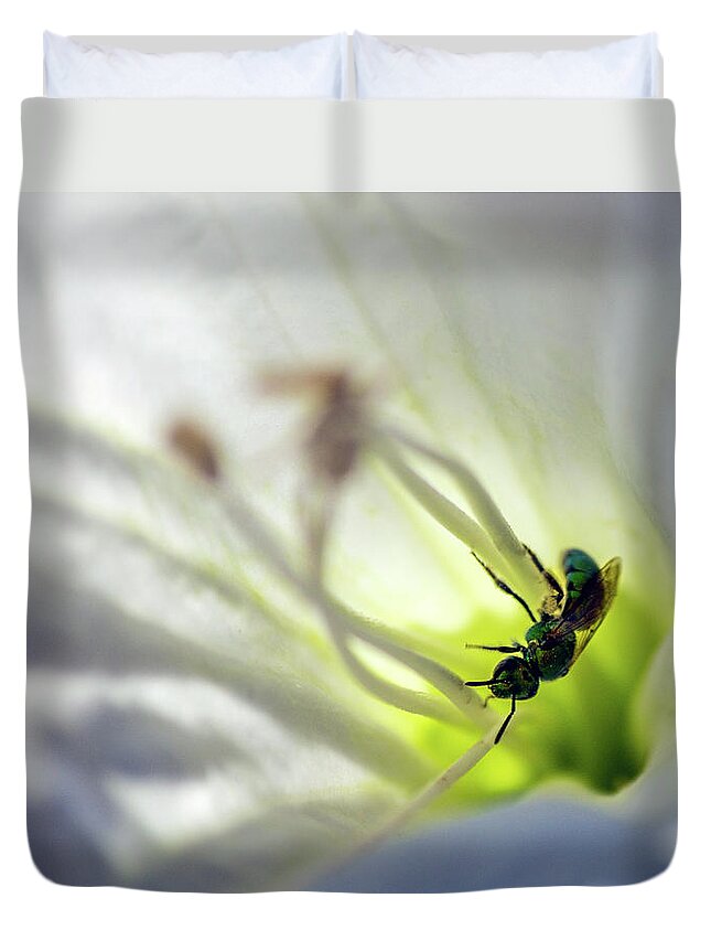 Bee Duvet Cover featuring the photograph Green Bee Datura Daydream by Jonathan Thompson