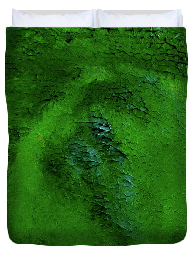 Drakeskin Duvet Cover featuring the painting Green Drakeskin by Patricia Piotrak