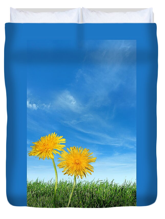 Flowerbed Duvet Cover featuring the photograph Green Grass With Two Dandelions by Narvikk