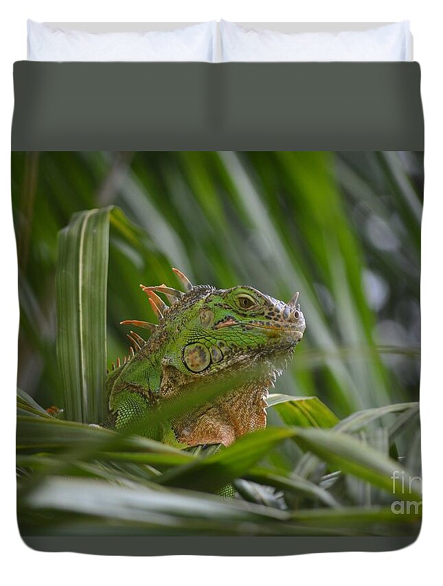 Animal Duvet Cover featuring the photograph Green Iguana Enjoying Life by Aicy Karbstein