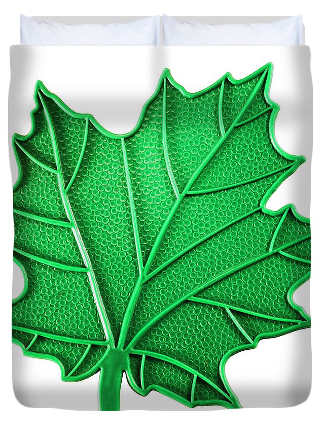 Autumn Duvet Cover featuring the drawing Green Maple Leaf by CSA Images