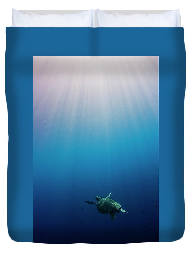 Island Of Borneo Duvet Cover featuring the photograph Green Turtle Swimming In Sunlit Ocean by Image By Dan Exton, Uk