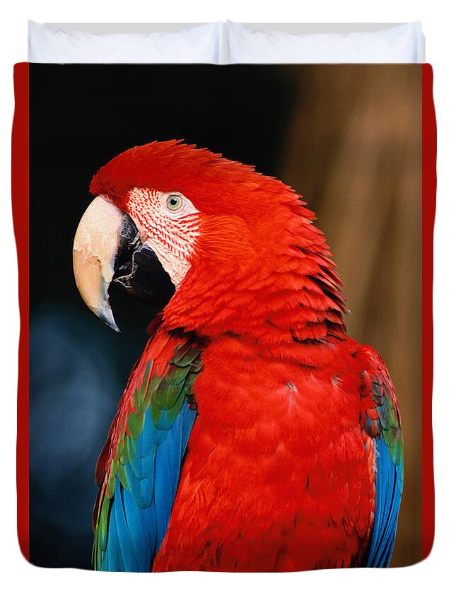 Animal Themes Duvet Cover featuring the photograph Green-winged Macaw Ara Chloroptera by Art Wolfe