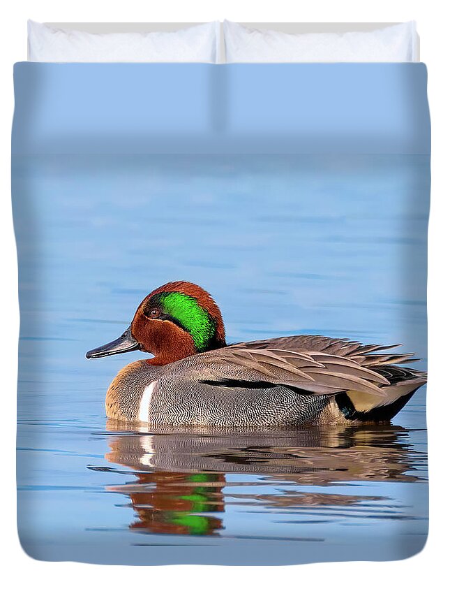 Green-winged Teal Duvet Cover featuring the photograph Green-winged Teal on the Pond by Kathleen Bishop
