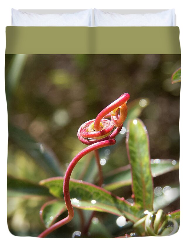 Grevillea Duvet Cover featuring the photograph Grevillea Coconut Ice Pink Flower 2 by Christy Garavetto