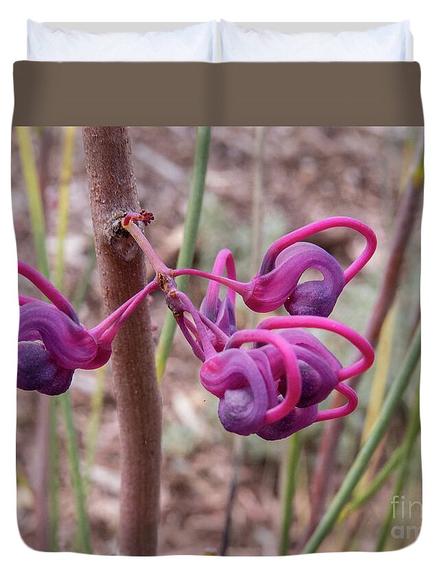Red Duvet Cover featuring the photograph Grevillea Coconut Ice Pink Flower by Christy Garavetto