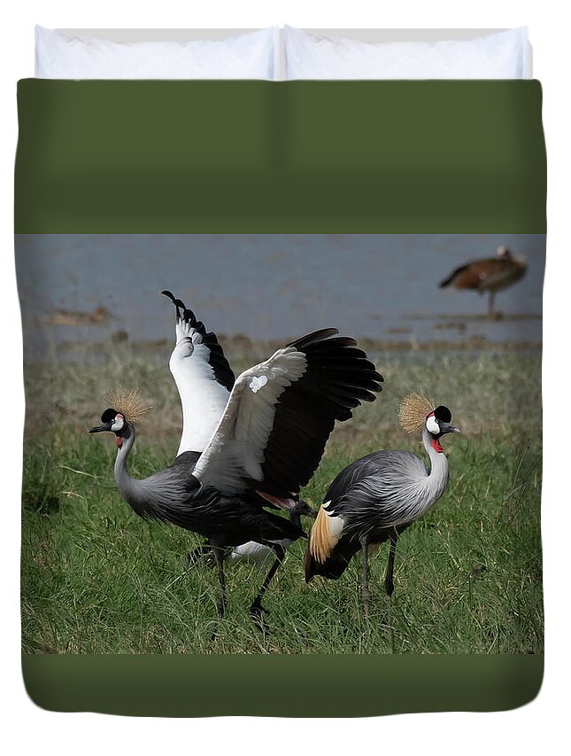 Africa Duvet Cover featuring the photograph Grey Crowned Cranes Courtship by Patrick Nowotny