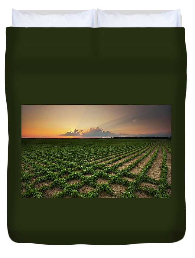 Tranquility Duvet Cover featuring the photograph Grid Lock I by Scott Kroeker (natural Light Magic)