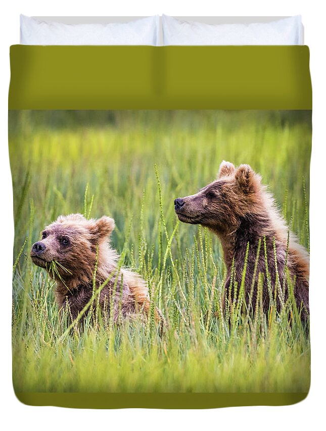 Grizzly Duvet Cover featuring the photograph Grizzly cubs by Lyl Dil Creations