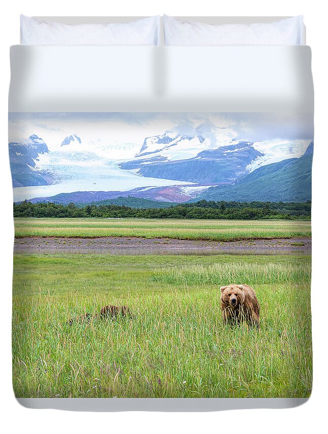 Grizzly Duvet Cover featuring the photograph Grizzlies and Glaciers by Mark Harrington