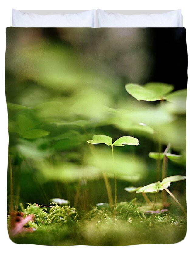 Outdoors Duvet Cover featuring the photograph Ground View Of Tiny Clover by Danielle D. Hughson