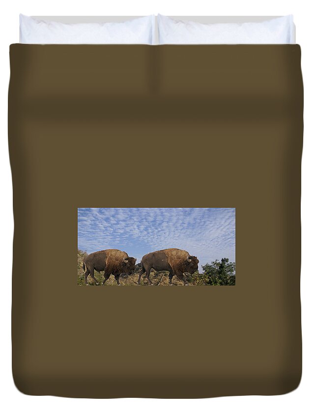 Group Duvet Cover featuring the photograph Group of bison walking against rocky mountains by Steve Estvanik