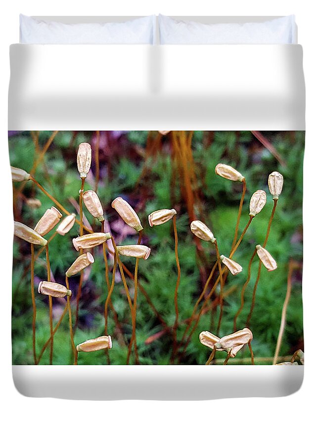 Group Duvet Cover featuring the photograph Group of Moss Capsules and Seta by Douglas Barnett