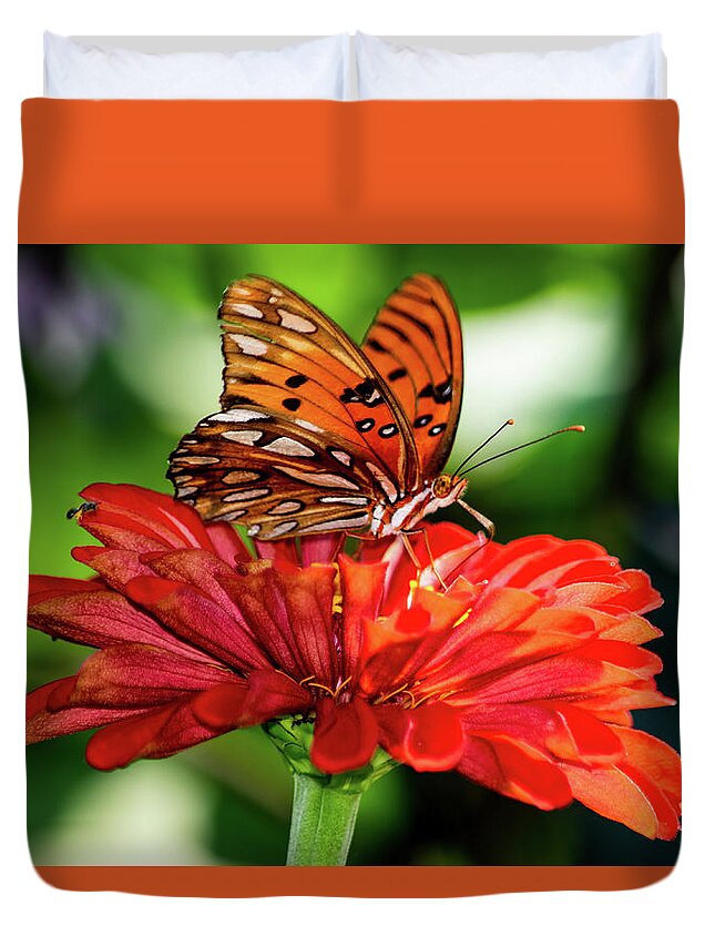 Gulf Fritillary Butterfly Duvet Cover featuring the photograph Gulf Fritillary on Red Zinnia by Mary Ann Artz