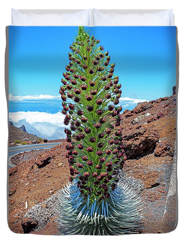 Silversword Duvet Cover featuring the photograph Haleakala Ahinahina Silversword by Anthony Jones