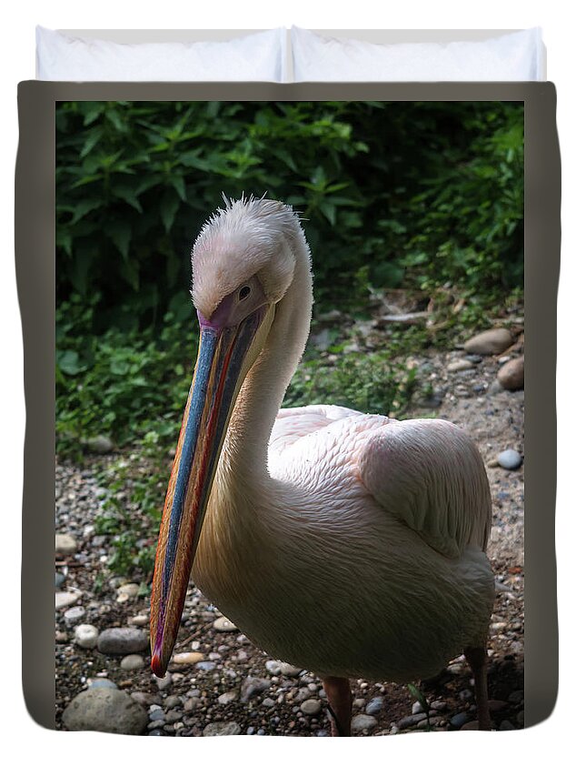 Michelle Meenawong Duvet Cover featuring the photograph Handsome Pelican by Michelle Meenawong