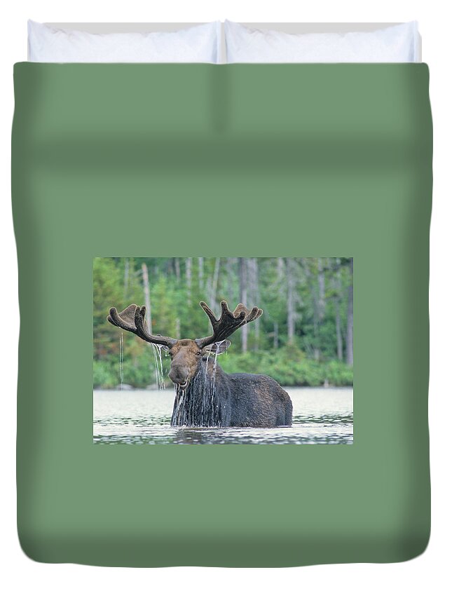 Scenics Duvet Cover featuring the photograph Happy Moose by Puleo