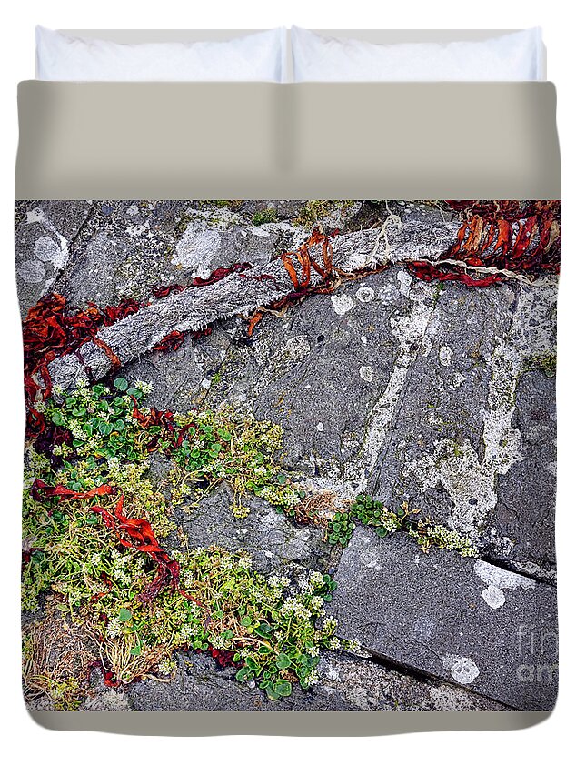 Algae Duvet Cover featuring the photograph Harbor Dock Impressions by Olivier Le Queinec