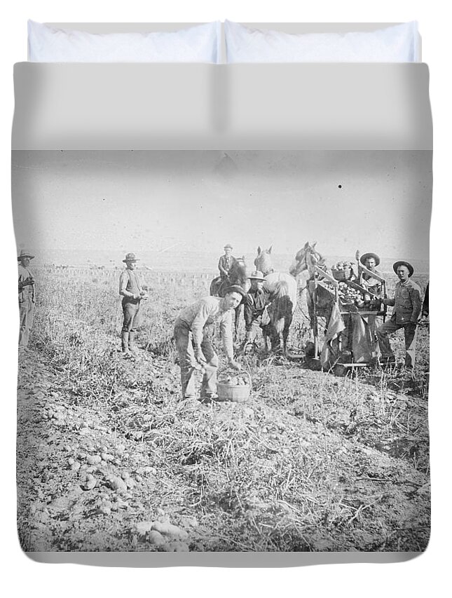 Framing Duvet Cover featuring the painting Harvesting in Potato field, Colorado by Unknown