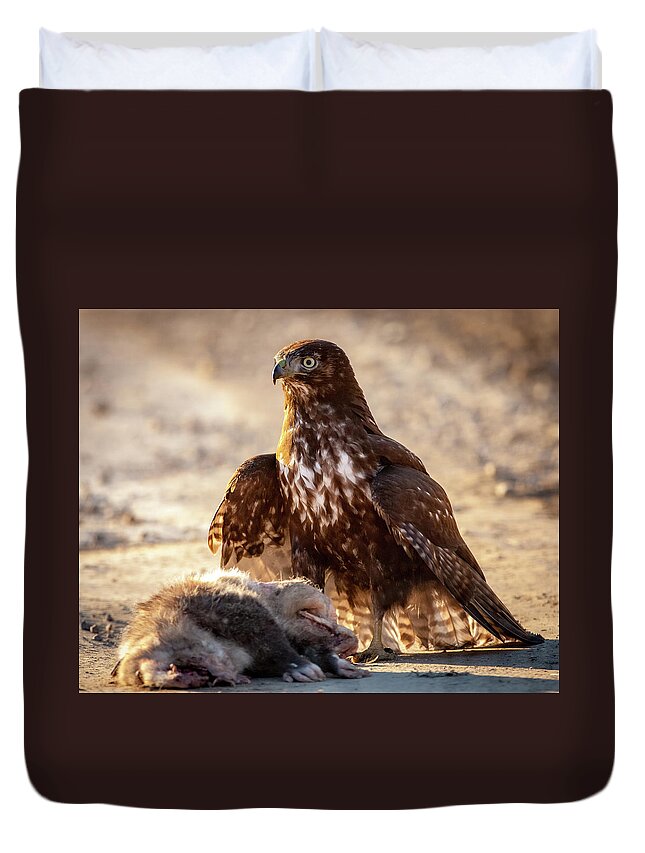 Coopers Hawk Duvet Cover featuring the photograph Hawk and Opossum by Jeff Phillippi