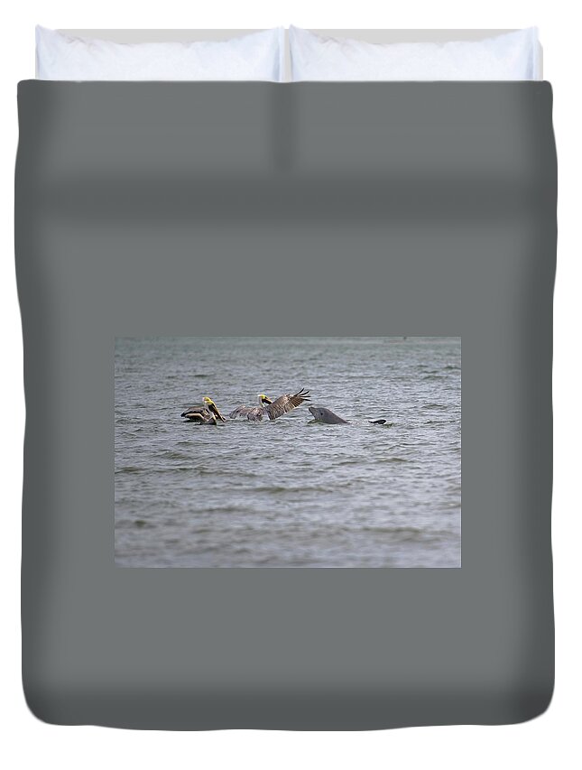 Wildlife Photography Duvet Cover featuring the photograph Hello Friends Pelicans and Dolphin by T Lynn Dodsworth