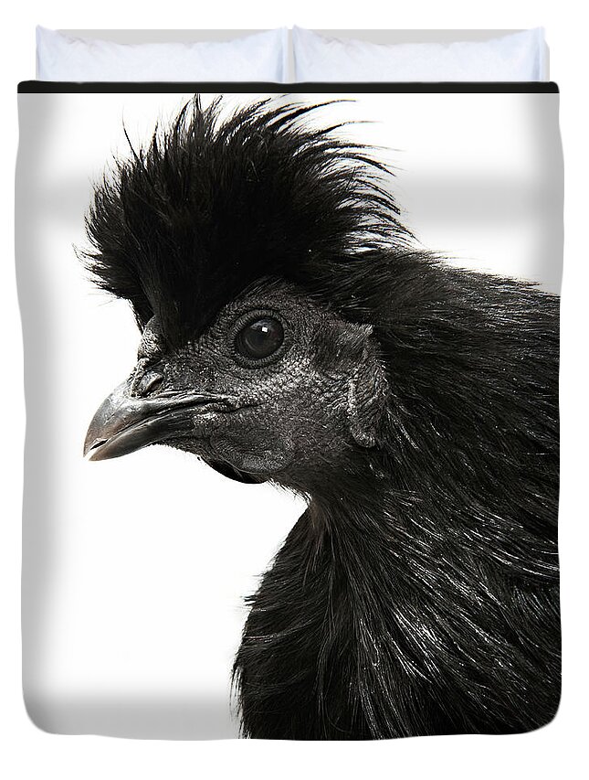 White Background Duvet Cover featuring the photograph Hen by Adrian Green
