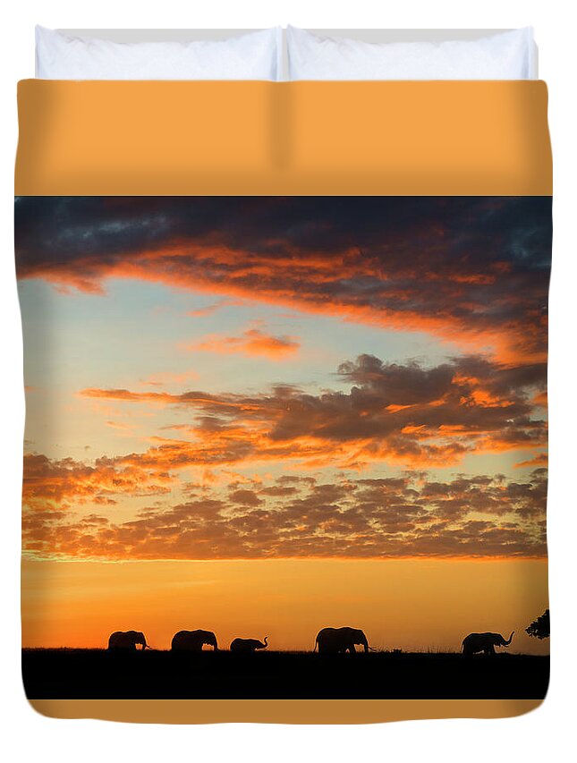 Scenics Duvet Cover featuring the photograph Herd Of African Elephants At Sunrise by Mike Hill