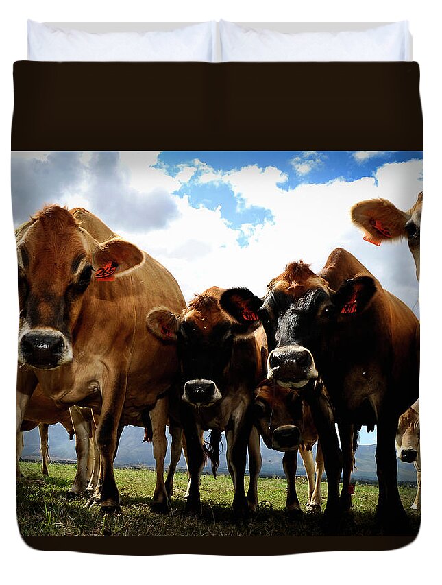 Cow Duvet Cover featuring the photograph Herd Of Cows, Round The Bend Camp by Jacques Marais