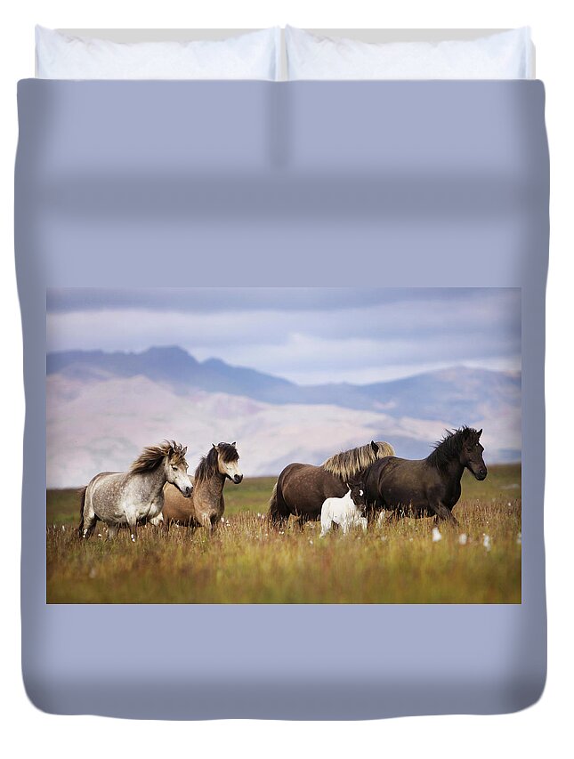 Horse Duvet Cover featuring the photograph Herd Of Horses by Gigja Einarsdottir