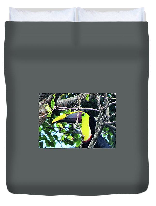 Toucan Duvet Cover featuring the photograph Here's Looking at You by Leslie Struxness