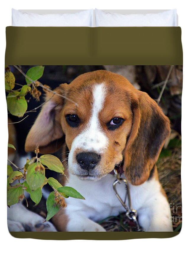 Beagle Puppy Duvet Cover featuring the photograph Hermine The Beagle by Thomas Schroeder