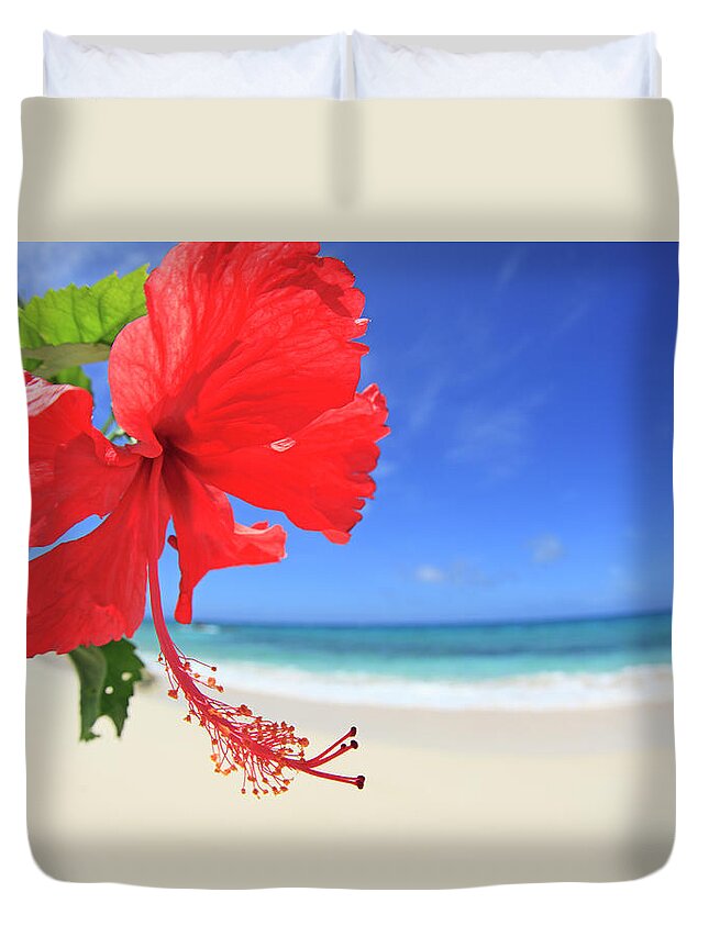 Outdoors Duvet Cover featuring the photograph Hibiscus Flower by Imagewerks