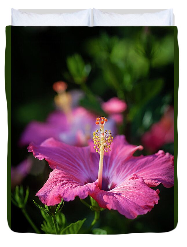Nature Duvet Cover featuring the photograph Hibiscus Painted Lady 111 by Rich Franco