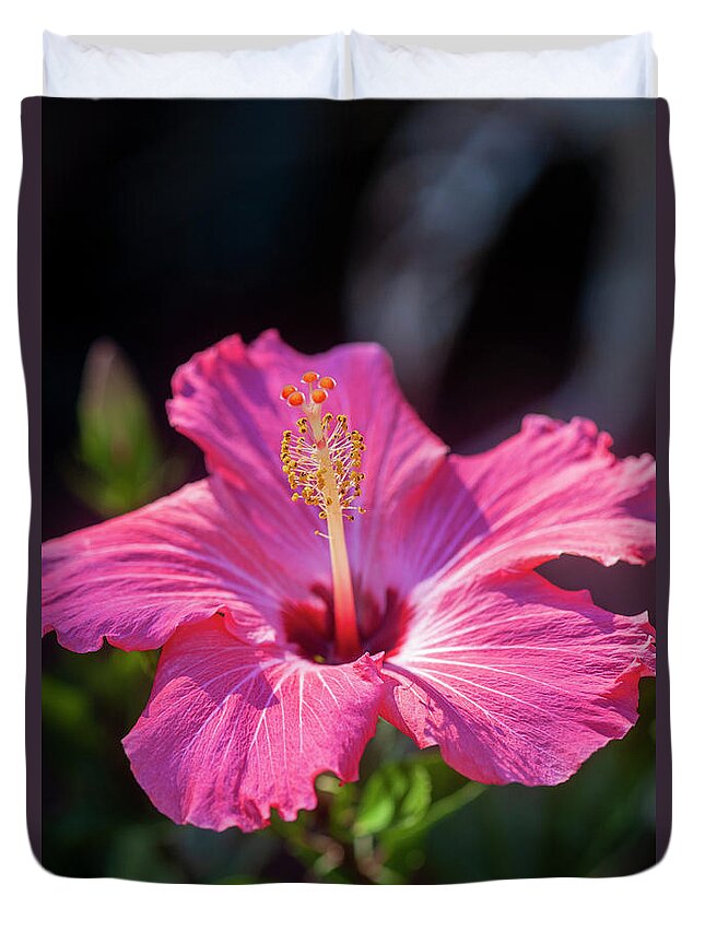 Nature Duvet Cover featuring the photograph Hibiscus Painted Lady 119 by Rich Franco