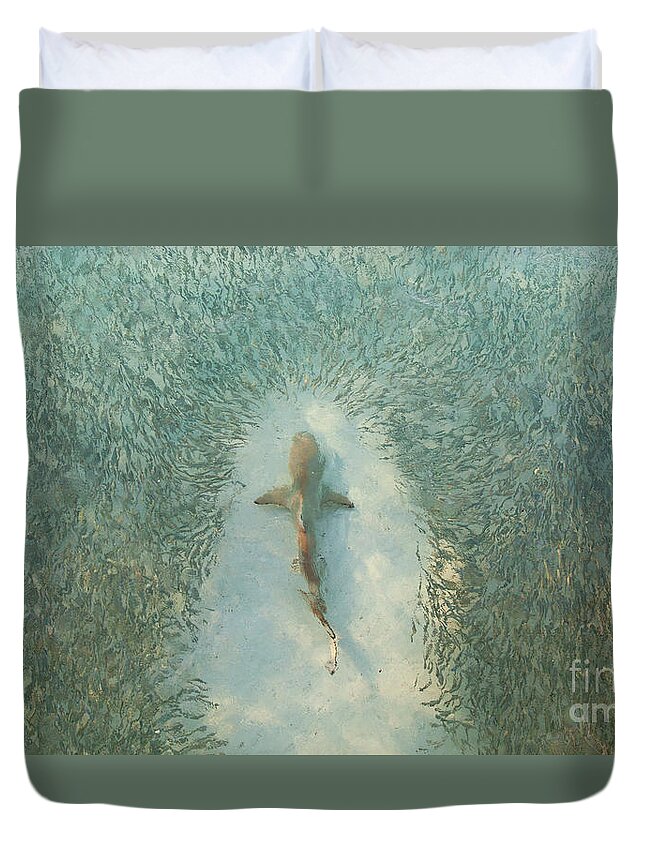 Animals In The Wild Duvet Cover featuring the photograph High Angle View Of A Shark Swimming by Scott Carr