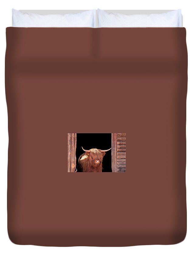 Horned Duvet Cover featuring the photograph Highland Cattle In Barn Door by Kerrick