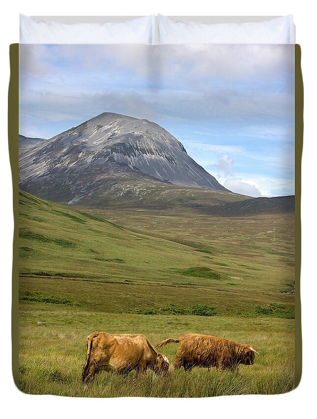Grass Duvet Cover featuring the photograph Highland Cattle, Paps Of Jura, Scotland by Design Pics/john Short