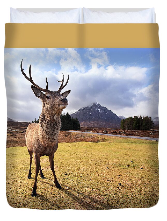 Animal Themes Duvet Cover featuring the photograph Highland Stag by Christopher Jackson