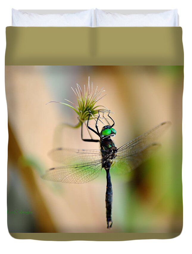 Dragonfly Duvet Cover featuring the photograph Hines Emerald Dragonfly by Kae Cheatham