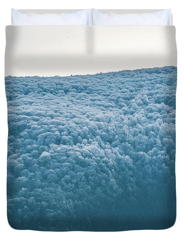 Blue Ridge Duvet Cover featuring the photograph Hoarfrost Blue Mountain by Mark Duehmig
