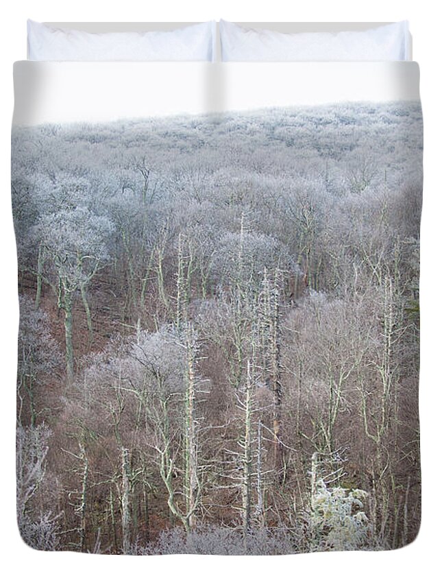 Blue Ridge Duvet Cover featuring the photograph Hoarfrost in the Tree Tops by Mark Duehmig