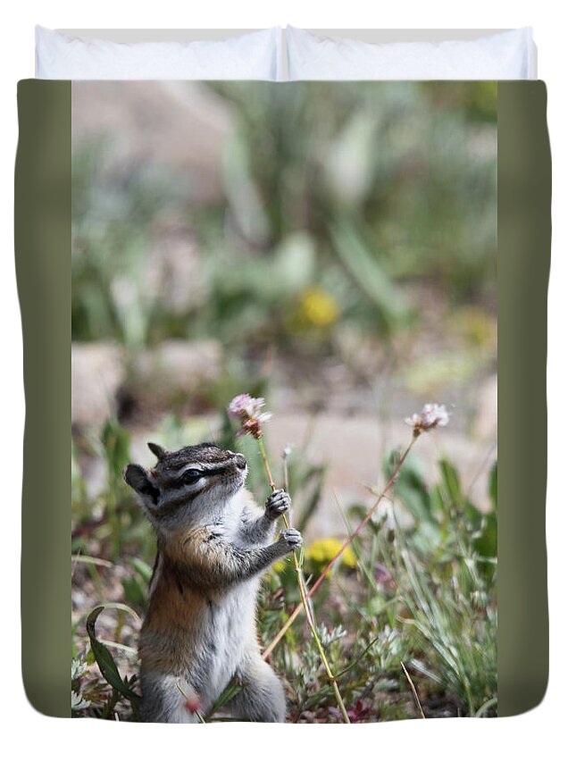 Chipmunk Duvet Cover featuring the photograph Hold On by Patrick Nowotny