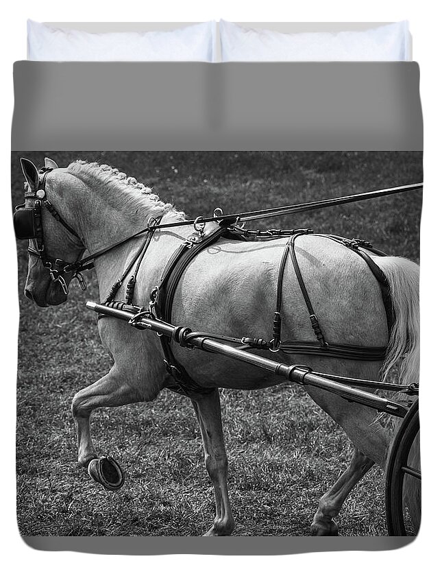 Horse Duvet Cover featuring the photograph Horse 11 by Phil S Addis