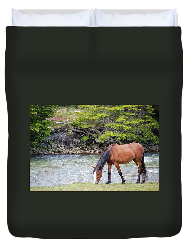 Horse Duvet Cover featuring the photograph Horse Grazing by Thanks For Choosing My Photos.