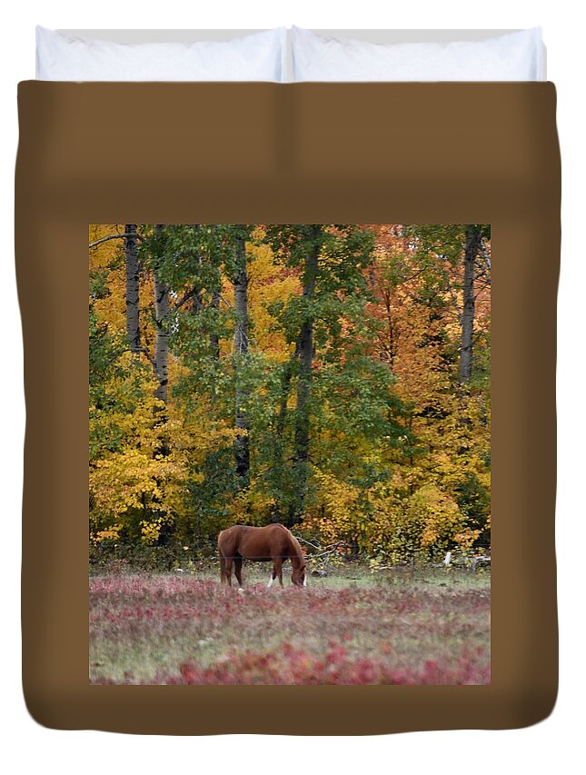 Fall Duvet Cover featuring the photograph Horse in Fall by Hella Buchheim