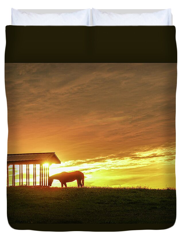 Horse Duvet Cover featuring the photograph Horse in the Spotlight by Tana Reiff