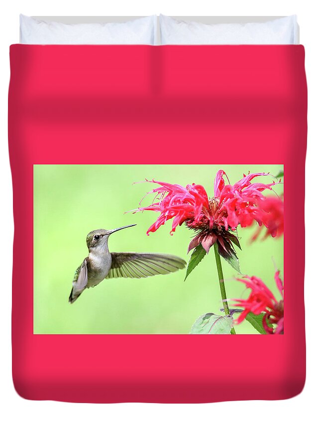 Hummingbird Duvet Cover featuring the photograph Hummingbird And Bee Balm 2 by Brook Burling