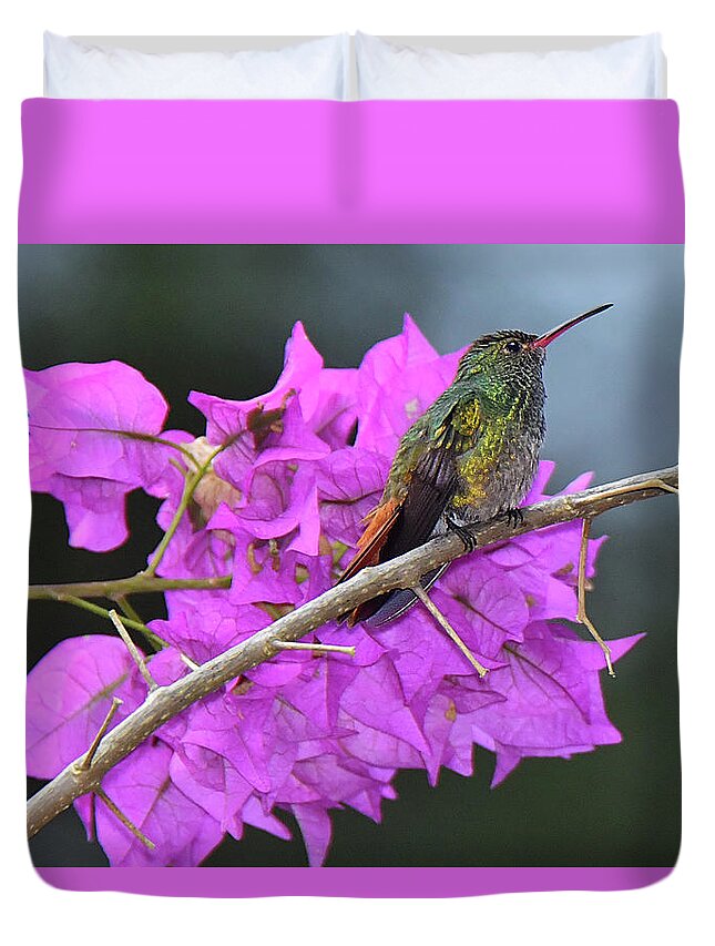 Hummingbird Duvet Cover featuring the photograph Hummingbird by Bougainvillea by Alan Lenk